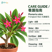 05-care-web