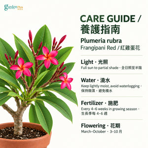 05-care-web