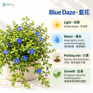 05-care