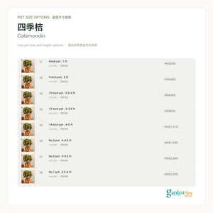 05-pots-web