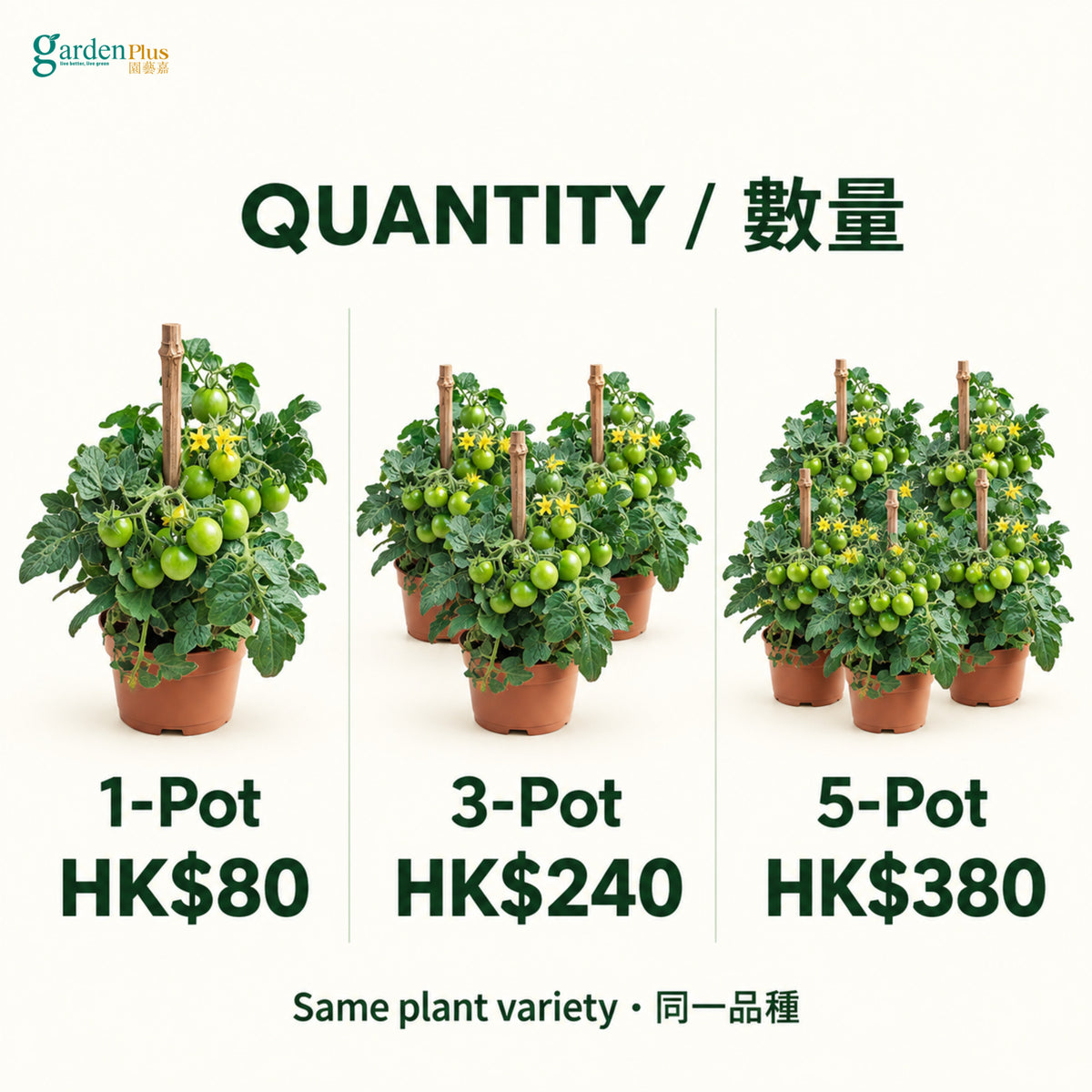 05-pots-web