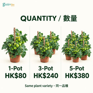 05-pots-web