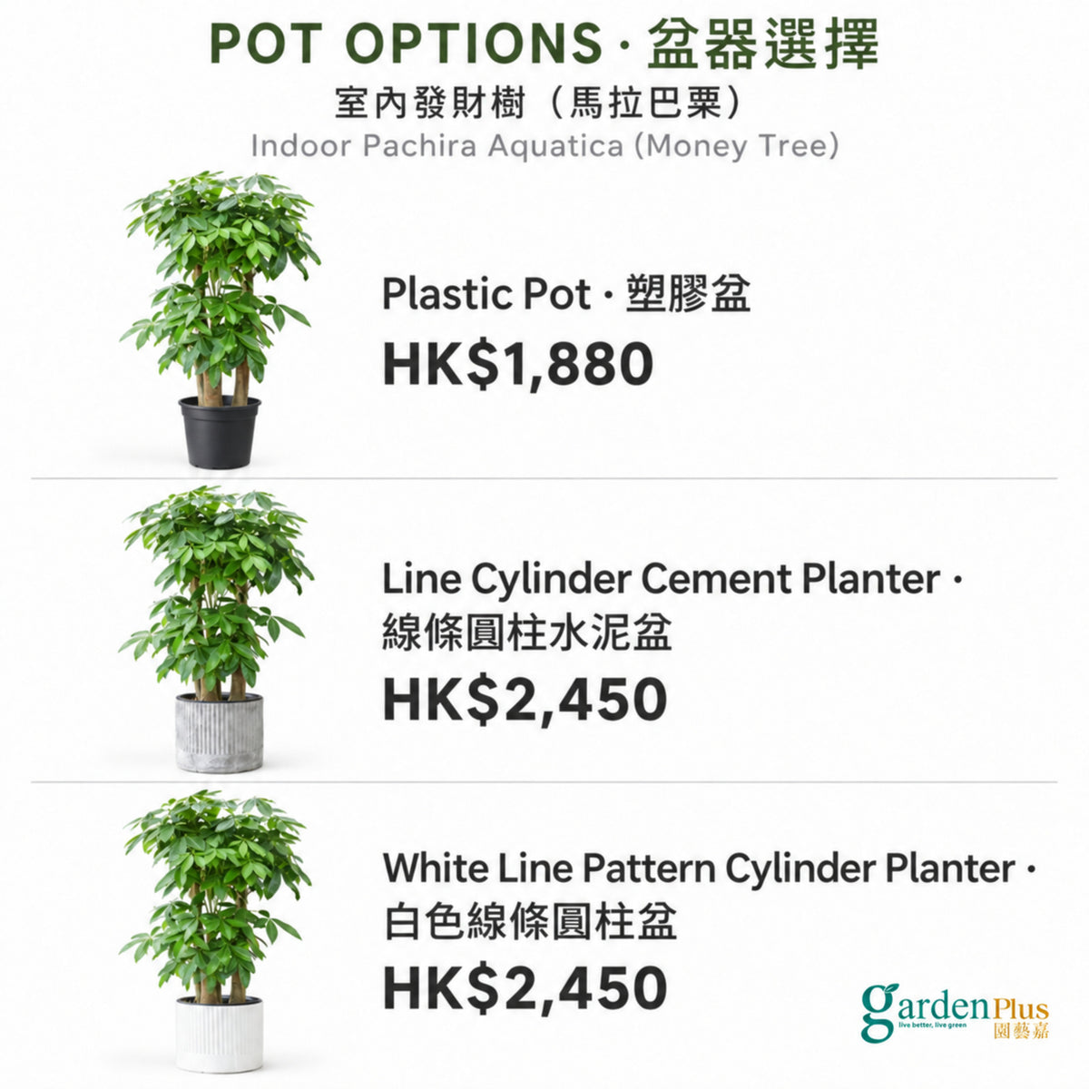 05-pots-web
