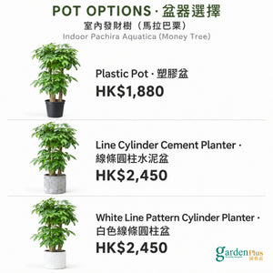 05-pots-web