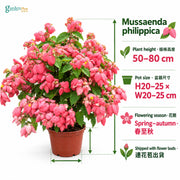 05-size