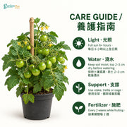 06-care-web