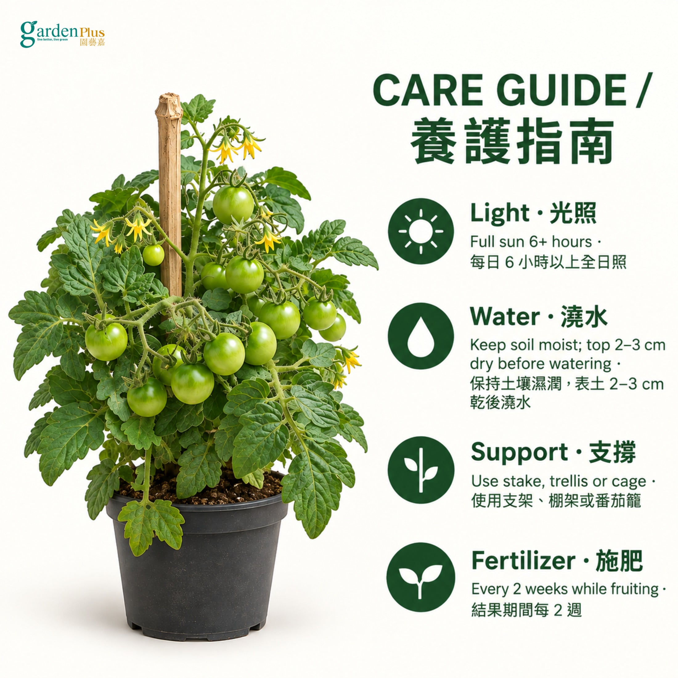06-care-web