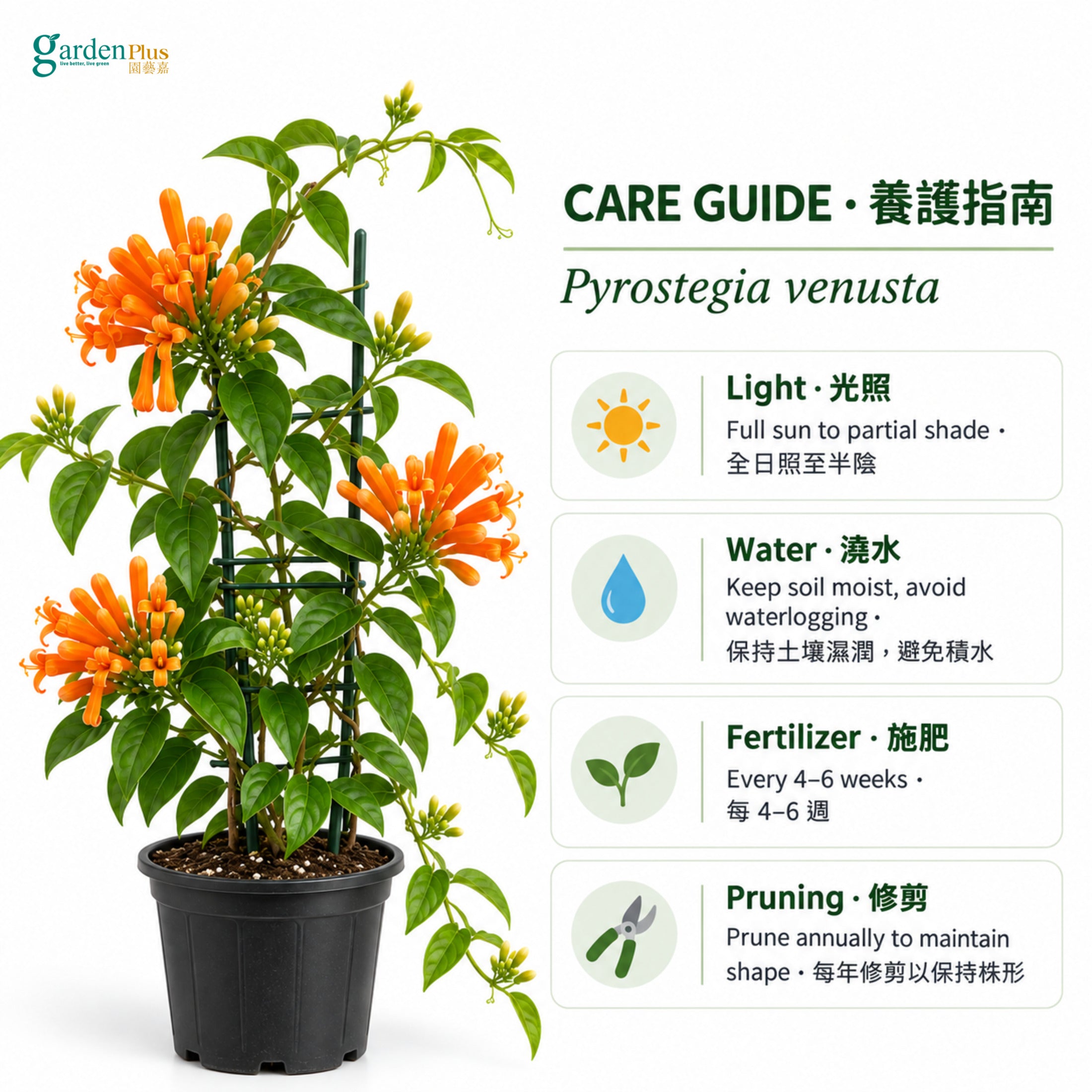 06-care-web