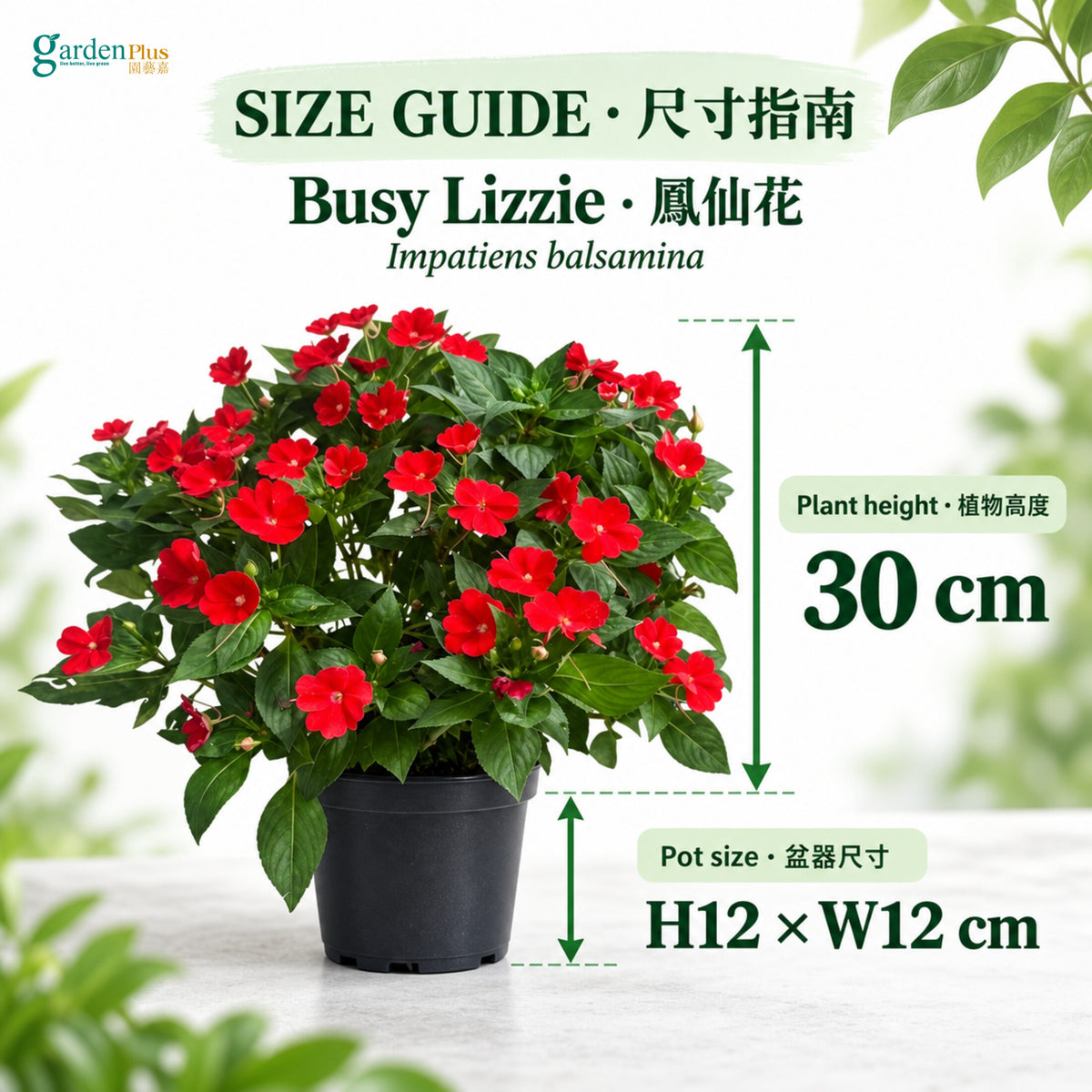07-size