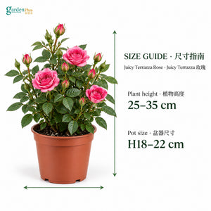 08-size