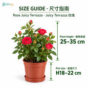 08-size