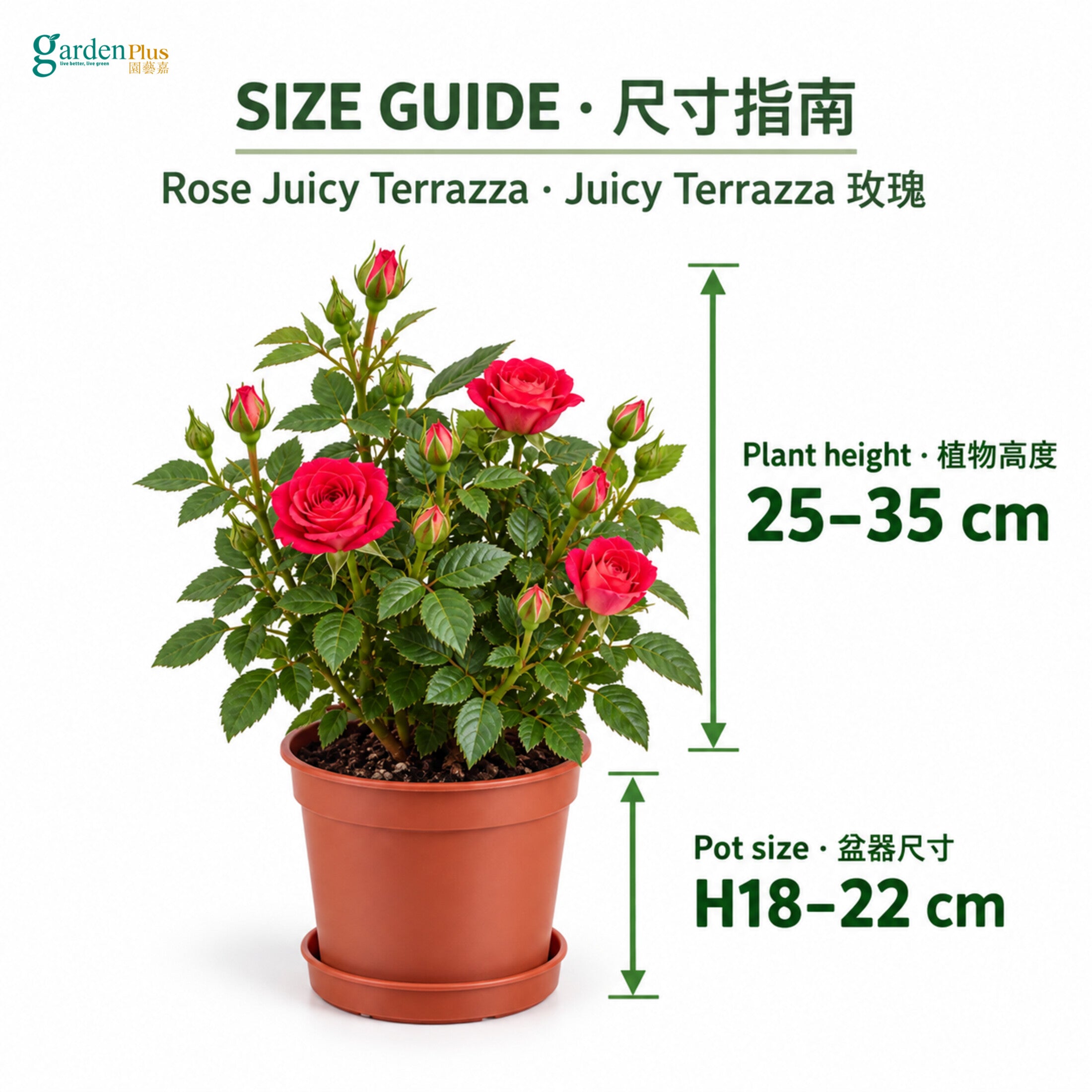 08-size