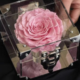 Rose Treasure Box – Preserved Rose Collection