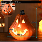 Small Flat Pumpkin