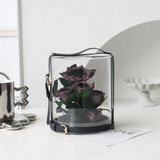 Preserved Rose Flower Box for Valentine's Day & Gifting