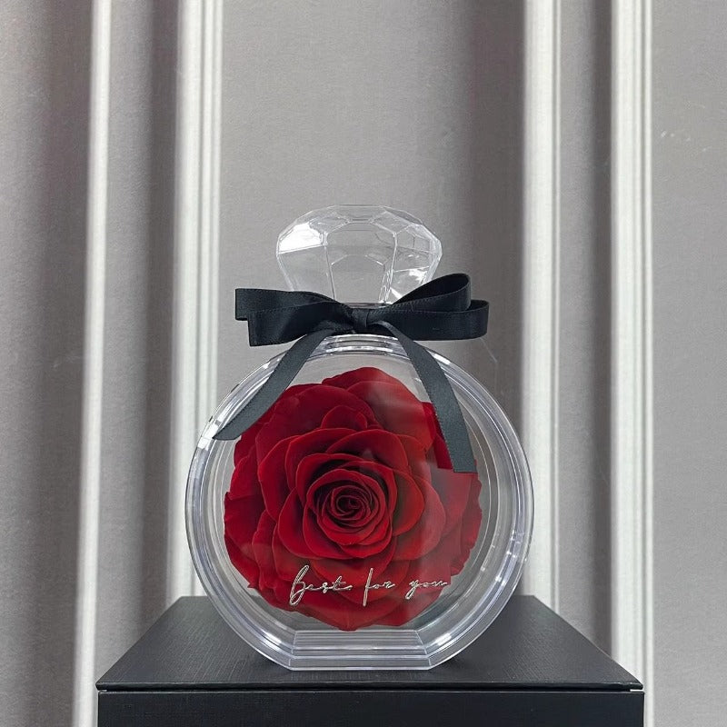 Encounter Rose Preserved Flower Box