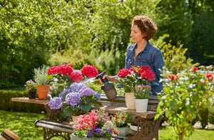 Gardena Pump Sprayer 1l Garden Plus