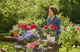 Gardena Pump Sprayer 1l Garden Plus