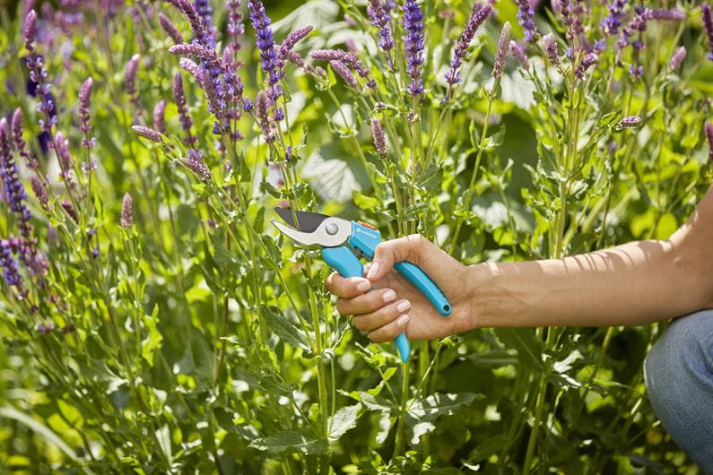 Gardena Garden Secateurs Garden Plus