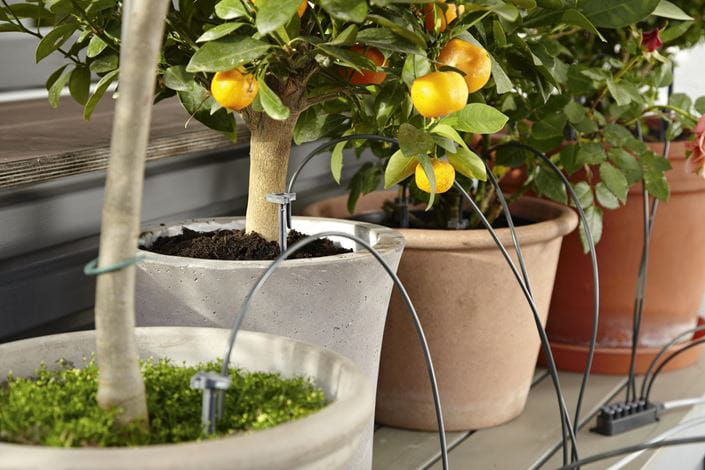 Gardena Holiday Watering Set Garden Plus