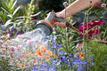 Gardena Comfort Multi Sprayer Garden Plus
