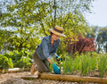 Gardena Planting and Soil Glove L Garden Plus