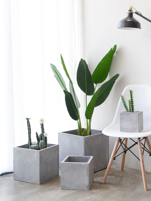 Square Cube Cement Planter Pot