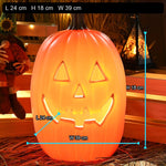Winter Melon Round Pumpkin