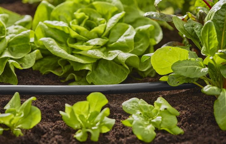 Gardena Connecting Pipe Flex 13 mm (1/2"), 15m Garden Plus