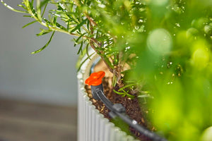 Gardena Regulation and shut-off valve (3/16") Garden Plus