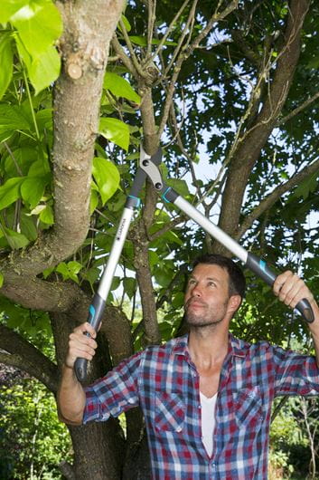 Gardena Pruning Lopper EnergyCut 750 B Garden Plus