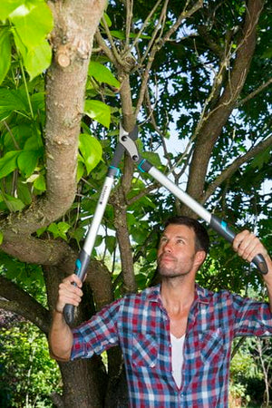 Gardena Pruning Lopper EnergyCut 750 B Garden Plus