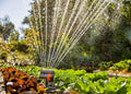 Gardena Oscillating Sprinkler AquaZoom Compact Garden Plus