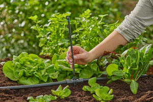 Gardena Extension Pipe for Spray Nozzles Garden Plus