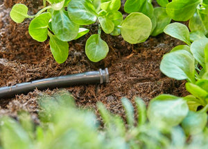 Gardena Plug 4.6 mm (3/16") Garden Plus