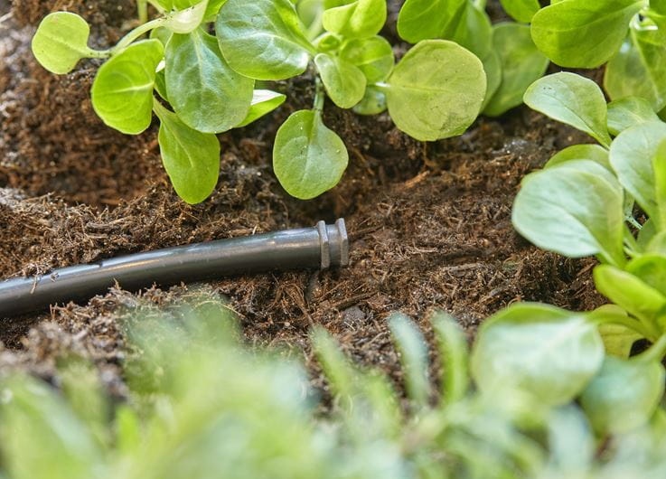 Gardena Plug 4.6 mm (3/16") Garden Plus