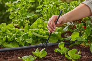 Gardena Extension Pipe for Spray Nozzles Garden Plus