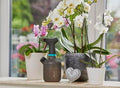Gardena Pump Sprayer 1l Garden Plus