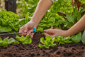 Gardena Small Area Spray Nozzle 13316 Garden Plus