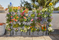 Gardena NatureUp! Set Vertical with watering Garden Plus