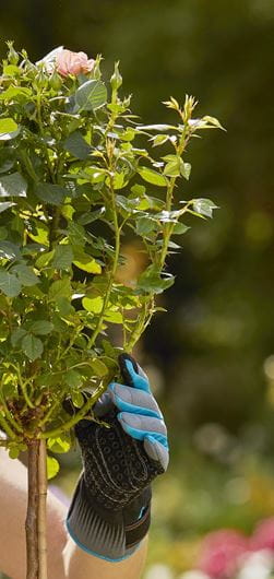 Gardena Cutting and Rose Glove M Garden Plus