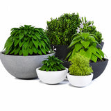 Rounded Bowl - FC-008