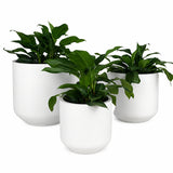 Rounded Cylinder - FC-032