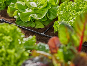 Gardena T-Joint 4.6 mm (3/16") Garden Plus