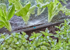 Gardena Spray Nozzle 180° 13321 Garden Plus