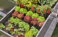 Gardena Plug 4.6 mm (3/16