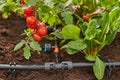 Gardena T-Joint 1/2
