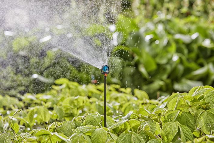 Gardena Extension Pipe for Spray Nozzles Garden Plus