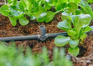 Gardena T-Joint for Spray Nozzles / Endline Drip Heads 4.6 mm (3/16") Garden Plus