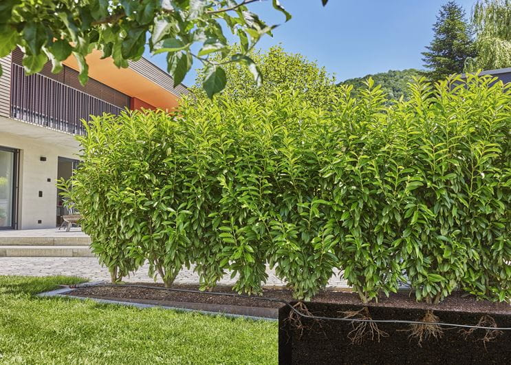 Gardena Micro-Drip-Irrigation Hedge/Bush Set (25 m) Garden Plus